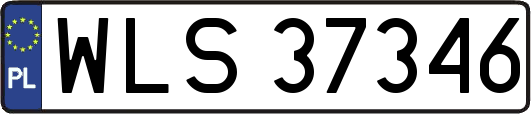 WLS37346