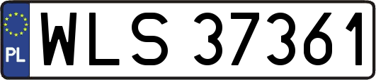 WLS37361