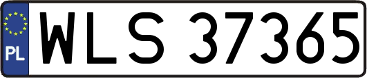 WLS37365