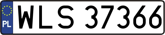 WLS37366