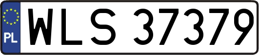 WLS37379