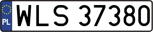 WLS37380