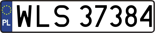WLS37384