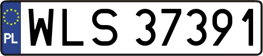 WLS37391