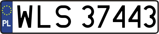 WLS37443
