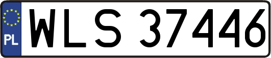WLS37446