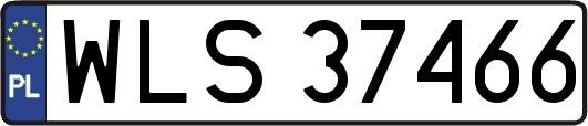 WLS37466