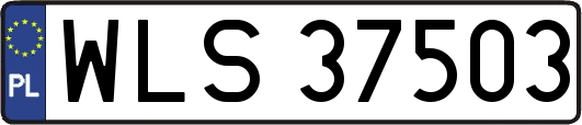 WLS37503
