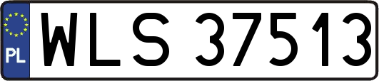 WLS37513