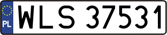WLS37531