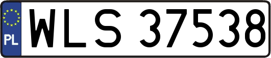 WLS37538