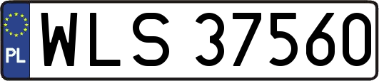 WLS37560