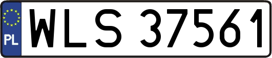WLS37561