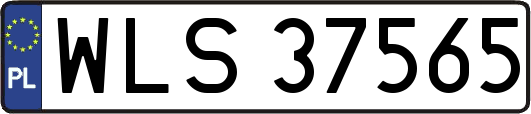 WLS37565