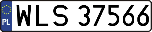 WLS37566
