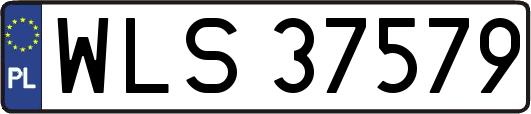 WLS37579