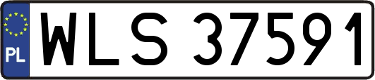WLS37591