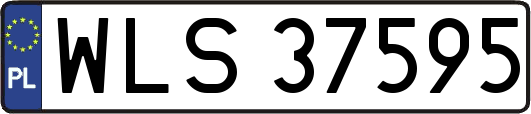 WLS37595