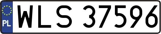 WLS37596