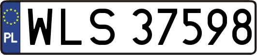 WLS37598