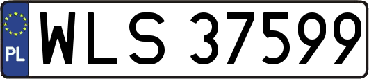 WLS37599