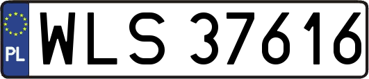 WLS37616