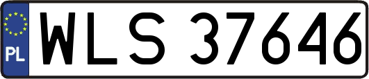 WLS37646