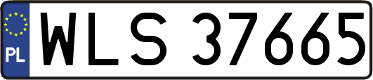 WLS37665