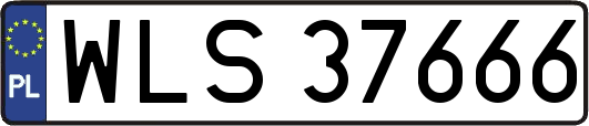 WLS37666