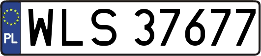 WLS37677