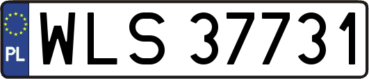 WLS37731