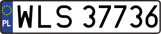 WLS37736