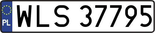 WLS37795