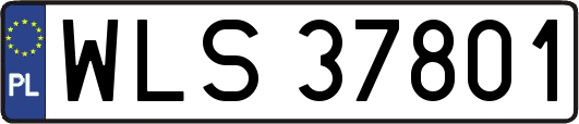 WLS37801
