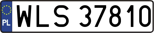 WLS37810