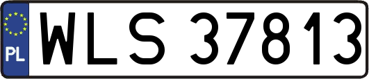 WLS37813