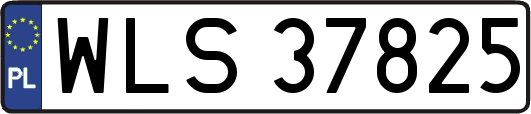 WLS37825