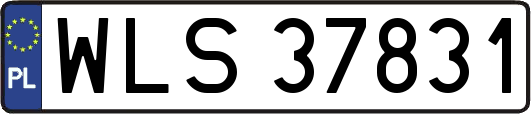 WLS37831