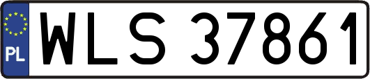 WLS37861