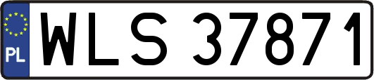 WLS37871