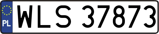 WLS37873