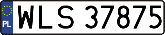 WLS37875
