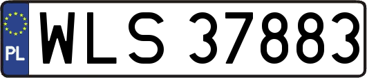 WLS37883