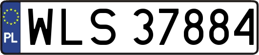 WLS37884