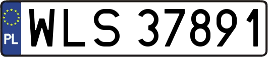 WLS37891