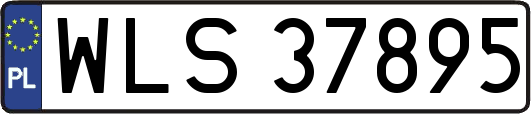 WLS37895