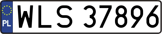 WLS37896