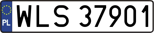 WLS37901
