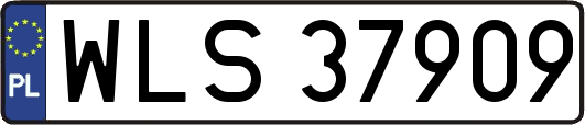WLS37909