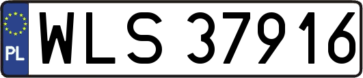 WLS37916